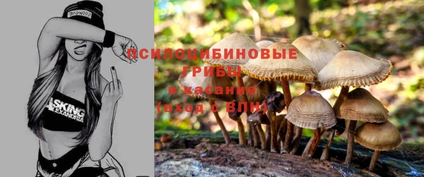 дмт Волоколамск